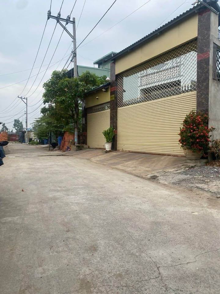 Bán Đất 136m² Thổ Cư 100% Mặt Tiền Tỉnh Lộ 10, Bình Tân - Sẵn Sàng Xây Dựng