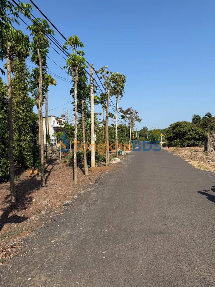 Bán Đất Vườn Tiêu 280m² Mặt Tiền Nhựa Xuyên Mộc, BRVT - Giá Tốt