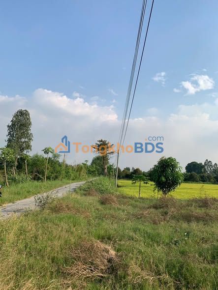 Bán Đất Vàng An Giang: 4447m² (600m² Thổ Cư) Gần Miếu Đá Nổi