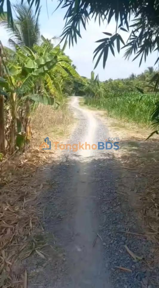 Bán đất lúa 1496m² mặt tiền 41m Xã Long Điền B, Chợ Mới - Giá 750 triệu