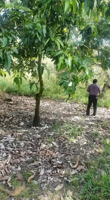 Bán Đất Vườn Xoài 360m² Tại Định Quán, Đồng Nai - Giá Đầu Tư