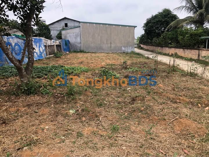 Đất nền Tuyên Quang 100m² - Sổ đỏ sẵn sàng, cách Vincom 500m