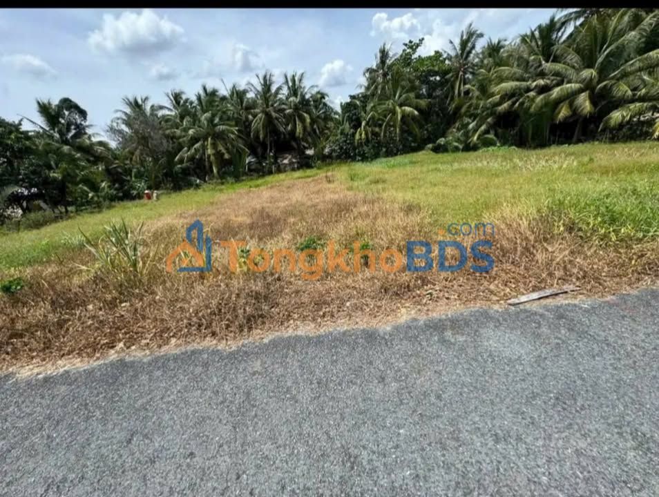 Đất Nền Vĩnh Long 107m² - Mặt Tiền Lộ Nhựa Giá 250 Triệu