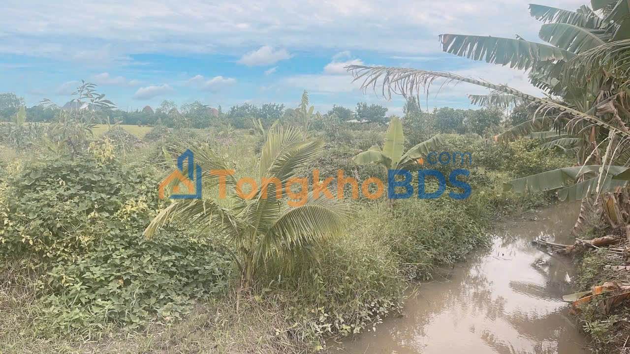 Đất Vĩnh Long 11000m² Mặt Tiền Đường Nhựa - Giá Đầu Tư 4.99 Tỷ