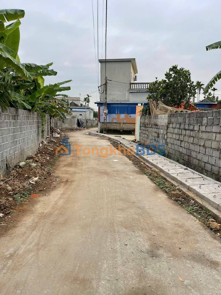 Đất Vườn Giá Tốt Hải Phòng - 121m² Thổ Cư Sổ Đỏ, Ngõ Ô Tô