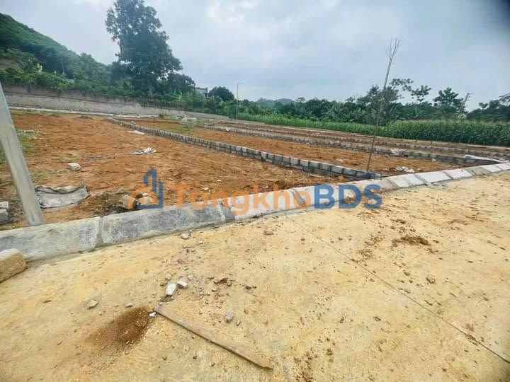 Bán Gấp Đất Nền Đội Bình, Yên Sơn 720m² - Sổ Hồng Sẵn Sàng