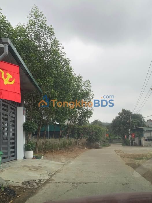 Bán Đất Tuyên Quang 91m² - Sổ Đỏ Full Thổ Cư, Gần Gỗ Hà Thương