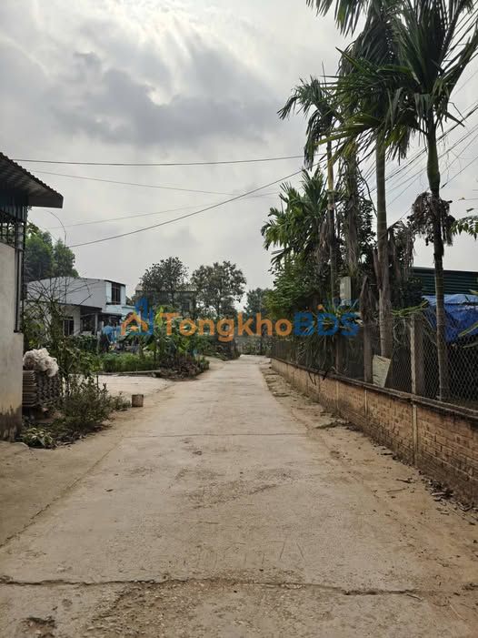 Bán Đất Nở Hậu 150m² Gần Nhà Máy Gạch Viên Châu, Tuyên Quang