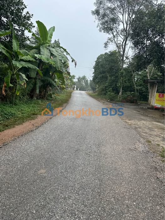 Đất Mặt Đường Lớn Tuyên Quang 400m² - Sổ Đỏ Sẵn Sàng