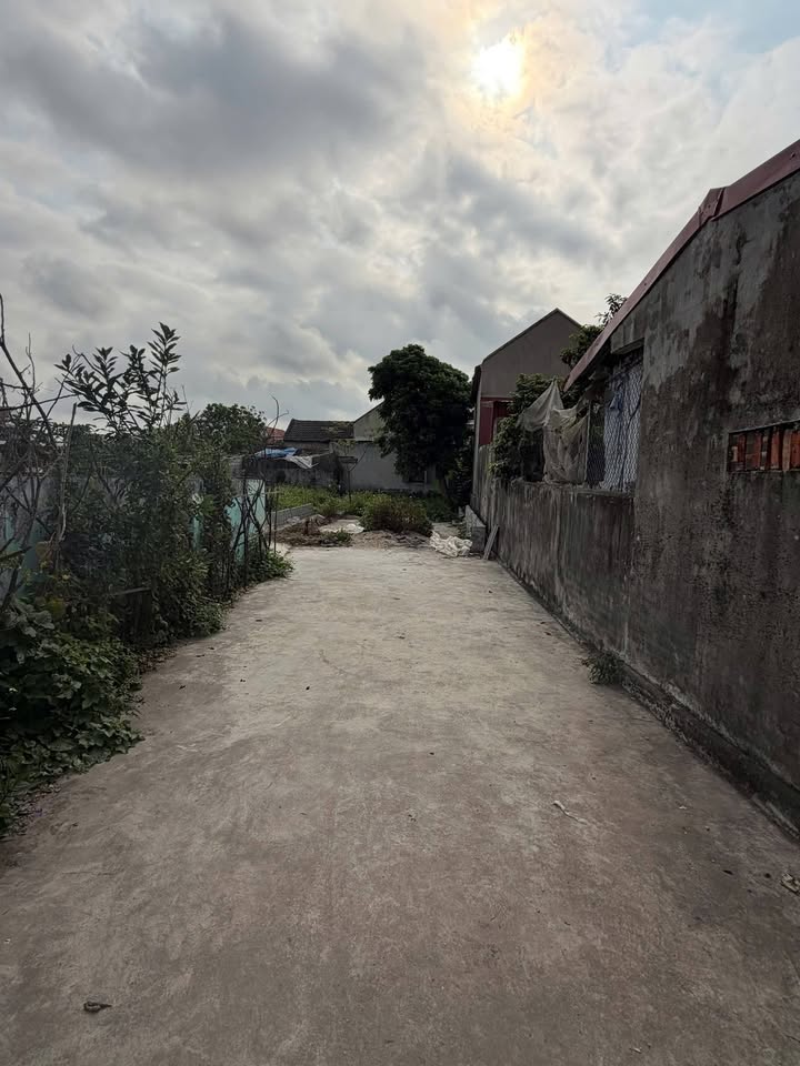 Đất nền Kiến Thụy, Hải Phòng - 98m² gần Trường Cấp 1 Thuỵ Hương - Giá tốt