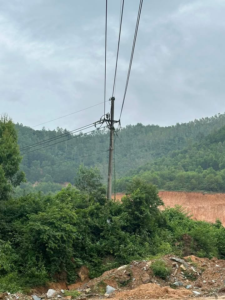 Bán Gấp Đất Rừng 3ha Xã Phước Mỹ, Quy Nhơn - Tiềm Năng Đầu Tư Vượt Trội