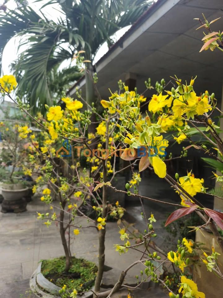 Đất nền hẻm Tây Sơn, Quy Nhơn - Sổ đỏ riêng, giá từ 1.25 tỷ