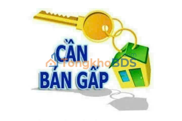 Nhà Mặt Tiền Bạch Đằng Quy Nhơn 43m² - Kinh Doanh Đắc Lộc, Sổ Đỏ Chính Chủ