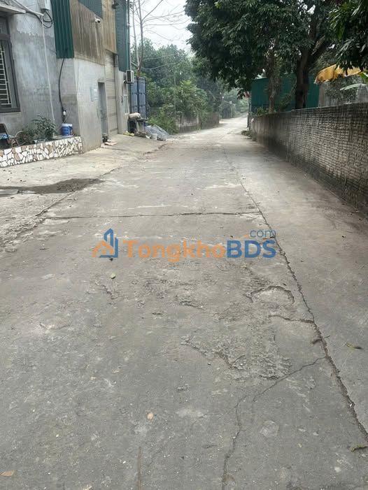 Bán Gấp 5 Lô Đất Thổ Cư Phường Nông Tiến, Tuyên Quang - Giá Chỉ Từ 6xx Triệu