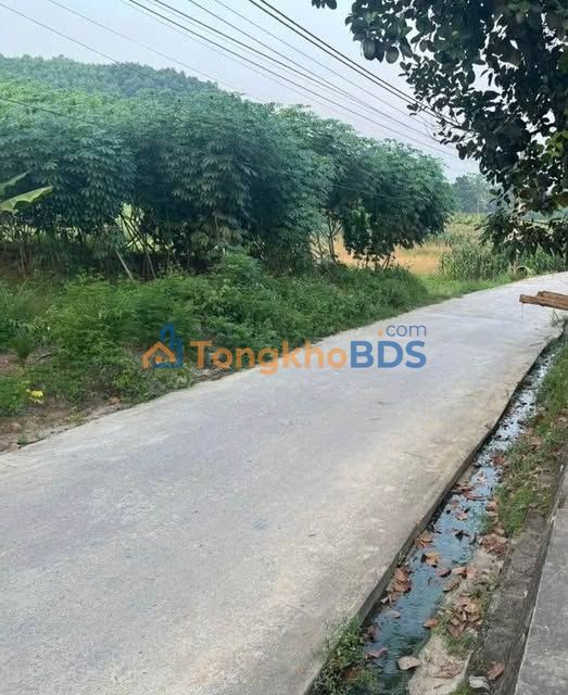 Nhà 2 Tầng 120m² Thổ Cư Kim Phú, Tuyên Quang - Chính Chủ 2.8 Tỷ