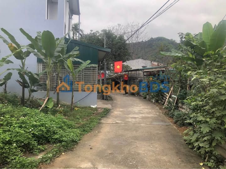 Đất Tuyên Quang 95m² - Sổ Đỏ Thổ Cư, Ngõ Ô Tô Giá Chỉ 880 Triệu