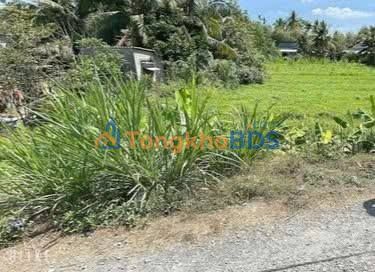 Đất Vĩnh Long 994m² giá 999 triệu - Sổ đỏ CLN, đường ô tô