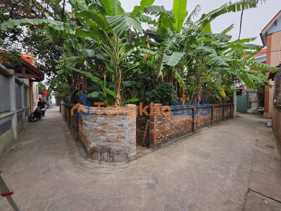 Đất Nền Đan Phượng 80m² - Sát Sông Hồng, Cơ Hội Đầu Tư Sinh Lời