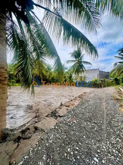 Đất nền Vĩnh Long 100m² - Sổ đỏ thổ cư, giá chỉ 199 triệu