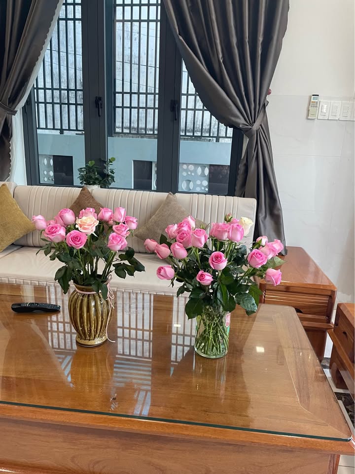 Đất Ninh Hải 566m² - Giá Tốt Đầu Tư Kho Bãi, Xe