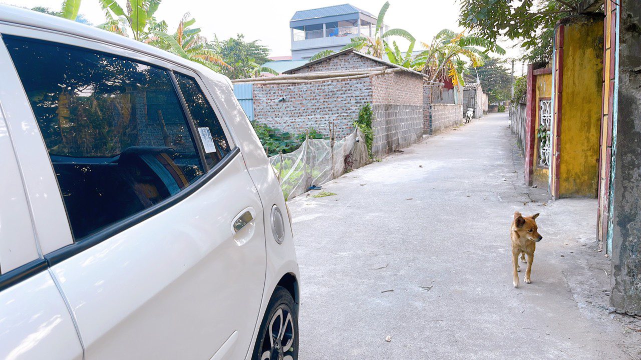 Bán đất Bắc Tiền Hải, Thái Bình 108m² hướng Tây - Đường thông thoáng, giá 7xx triệu