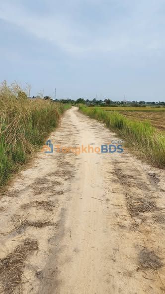 Đất Vườn Bình Thuận 4250m² Sổ Hồng Riêng - Đầu Tư Sinh Lời Cao