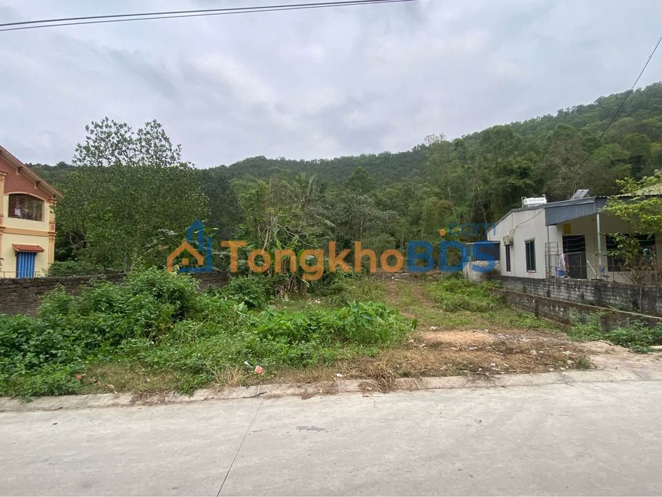 Đất Nền Đông Lĩnh, Quảng Xương 276m² - Sổ Đỏ Sẵn Sàng