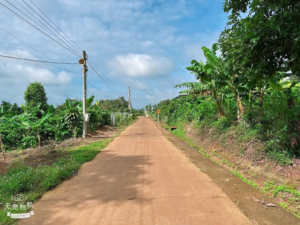 Đất Mặt Tiền Dương Lộc, Bảo Lâm: 182m² Tách 2 Sổ Riêng, Giá Chỉ 1.3 Tỷ