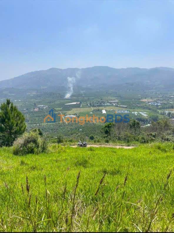 Bán Đất Vườn Bảo Lộc 2500m² Mặt Tiền Phan Huy Ích - View 360°