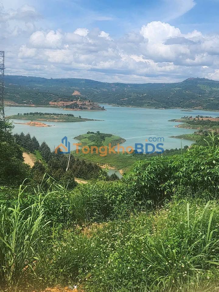 Đất Vườn Lâm Đồng 1.1ha - Mặt Tiền 100m, Sẵn Sàng Đầu Tư Nông Nghiệp