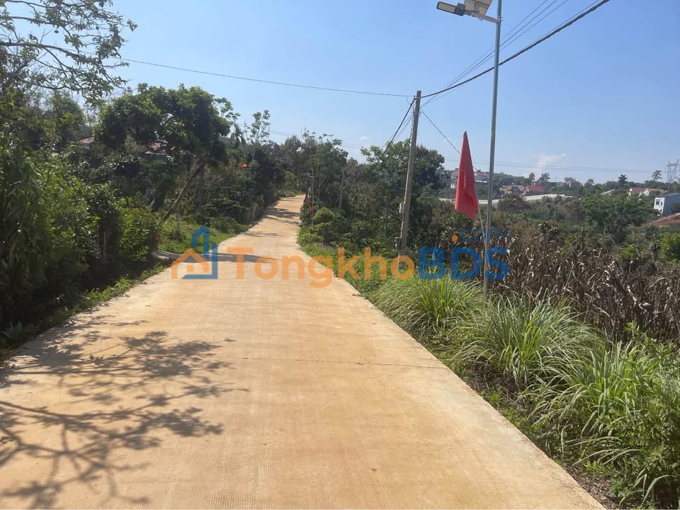 Đất nền Tân Châu, Di Linh - 7200m² view hồ, mặt tiền 34m - Giá 4 tỷ TL