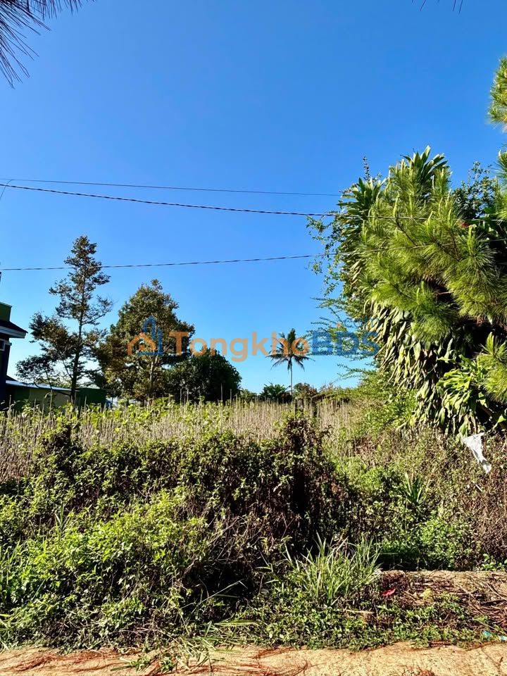 Bán Đất Lộc Quảng, Bảo Lâm: 385m², Sổ Đỏ Sẵn, Gần Chợ - 1.7 Tỷ