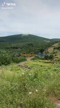 Bán Đất Vườn 8700m² Lộc Đức, Bảo Lâm - Sổ Hồng, Mặt Tiền Lớn