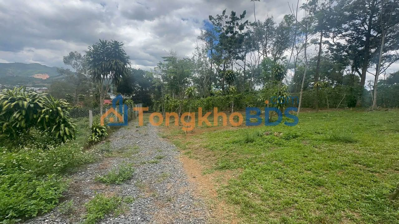 Đất Nền Bảo Lộc 1124m² Giá Tốt 750 Triệu - Sẵn Sàng Đầu Tư