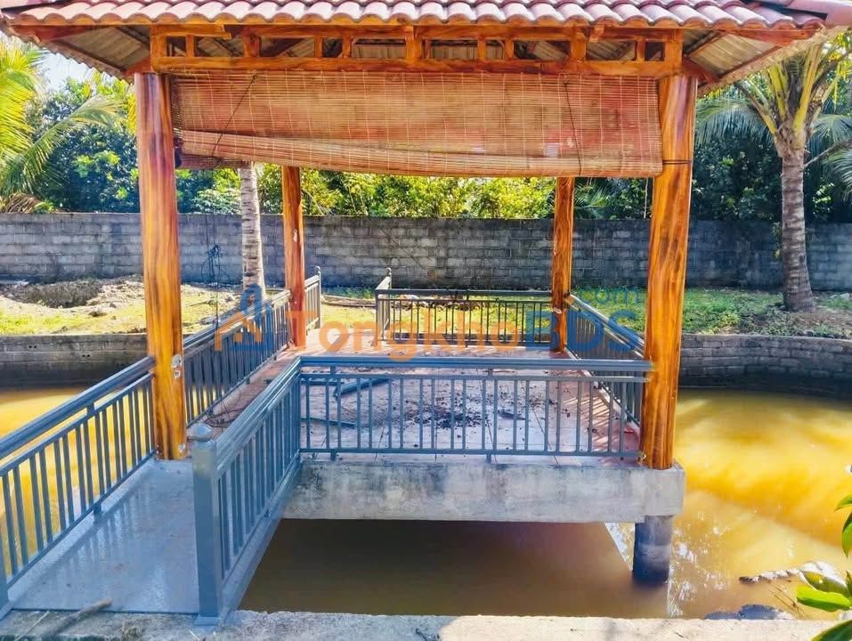 Đất Nền Nghỉ Dưỡng Bảo Lộc 1200m² - Giá Giảm Sốc 3.15 Tỷ