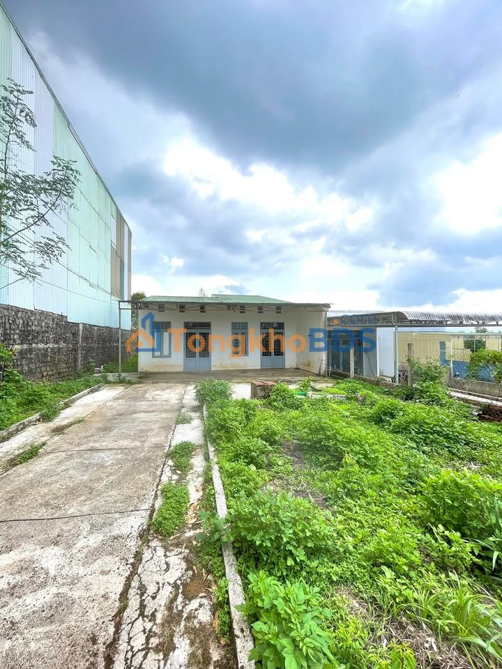 Nhà 560m² Full Thổ Cư Mạc Đỉnh Chi, Bảo Lộc - Giá 3.15 Tỷ Bớt Lộc