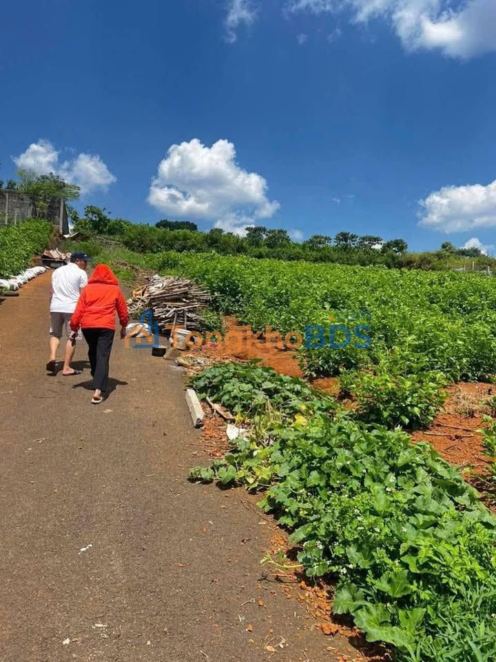 Đất thổ cư Bảo Lộc 200m², 1.28 tỷ - Hẻm 50 Trần Quý Cáp