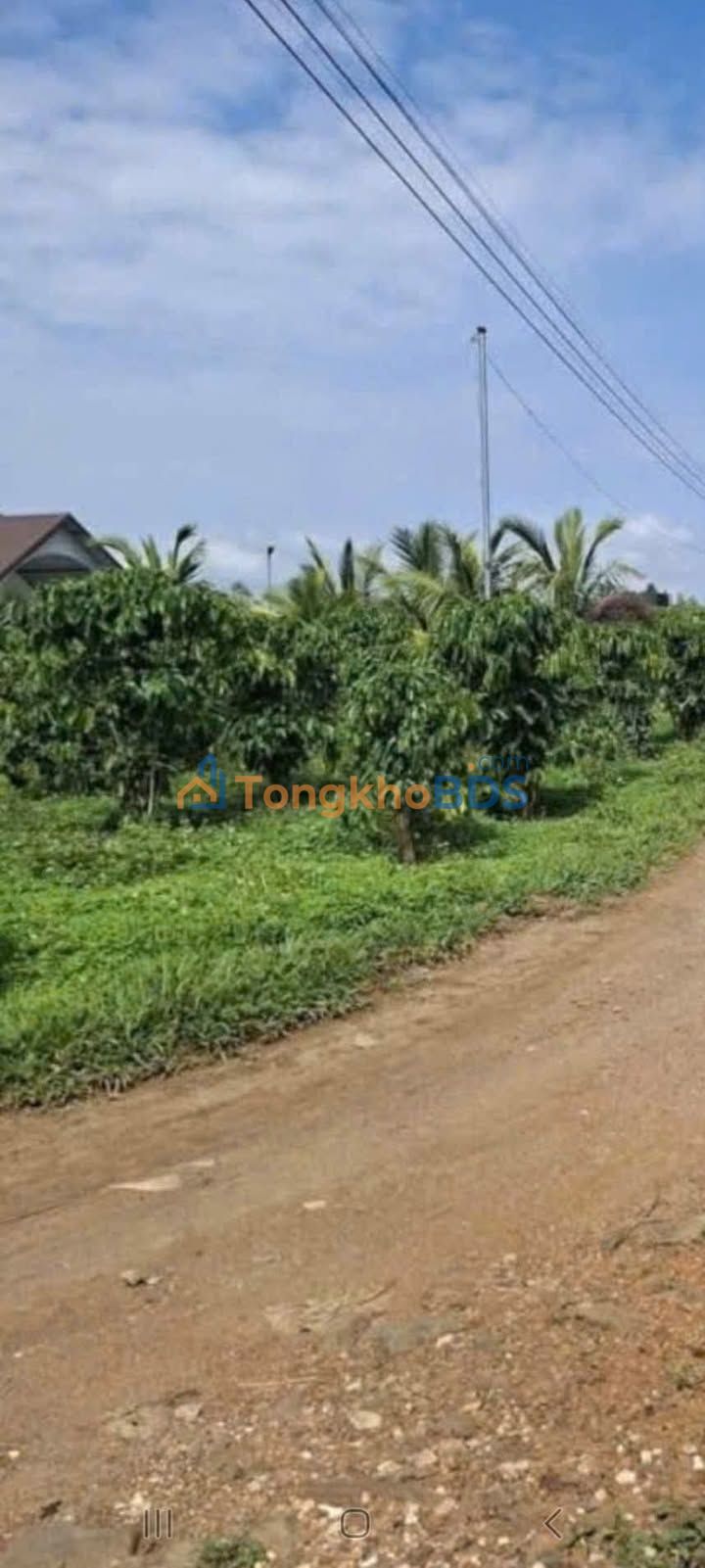 Bán Đất Ở Lộc Phát, Bảo Lộc 10800m² - 2.877 Tỷ - Mặt Tiền Rộng