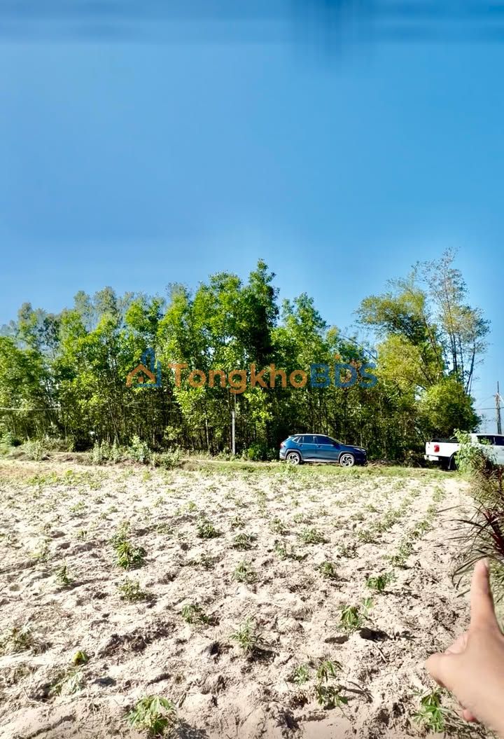 Đất Nền Phù Cát 600m² - Sổ Đỏ Riêng, Giá 6xx Triệu Đầu Tư Sinh Lời