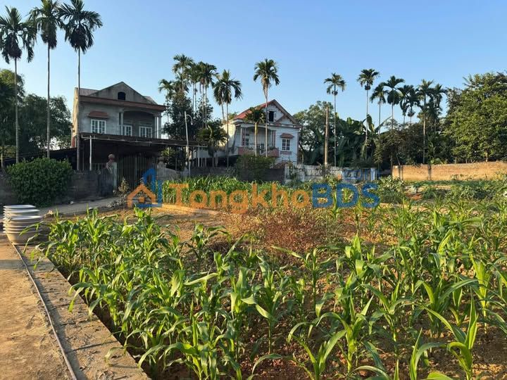 Đất nền Yên Thái, Tuyên Quang 105m² - Sổ đỏ thổ cư, gần chợ