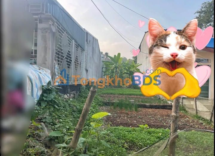 Đất thổ cư 110m² mặt đường chính TP Tuyên Quang - 1.45 tỷ