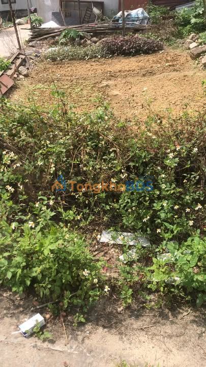 Đất nền Thủy Nguyên 60m² - Lô góc hướng Đông Bắc, giá 1.7 tỷ