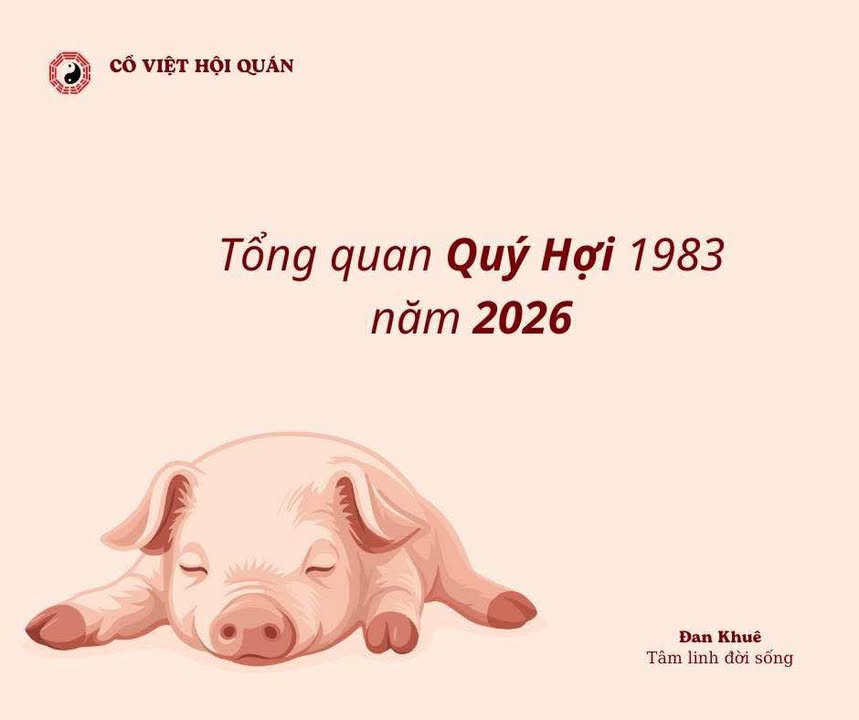 Nhà Mặt Tiền 2 Tầng Khu Sân Bay Quy Nhơn - Kinh Doanh Đắc Lợi
