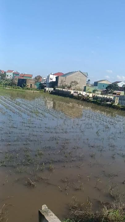 Đất nền VIP mặt đường Phạm Lê Đức, Cẩm Xuyên, Hà Tĩnh - Sổ đỏ sẵn sàng