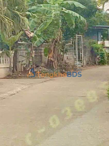 Đất QL2C Tuyên Quang 250m² giá thỏa thuận - Đường to ô tô