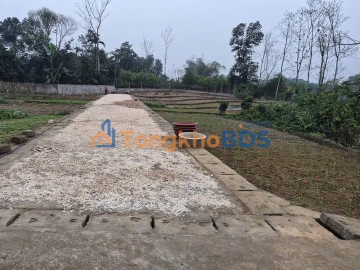 Đất nền 128m² An Tường, Tuyên Quang - Sổ đỏ thổ cư, gần chợ, ô tô vào tận nơi