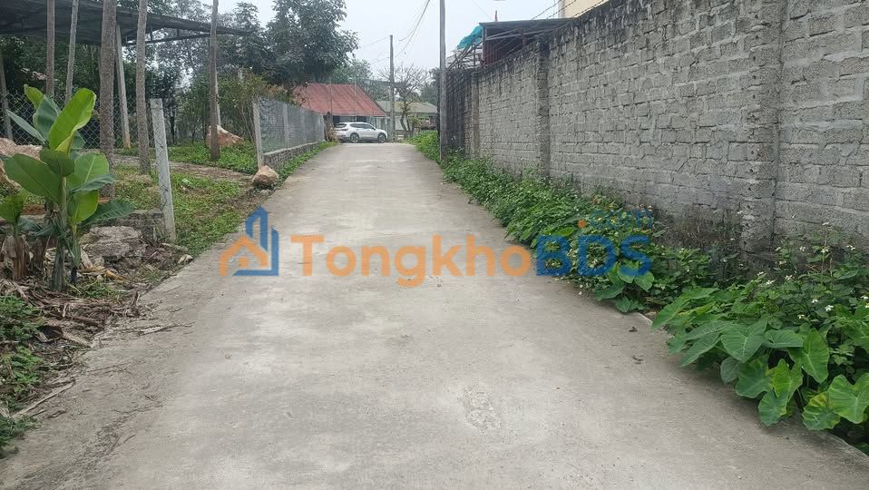 Bán Gấp Đất Nền 150m² T.Tâm T.Phố Tuyên Quang - Giá 1 Tỷ XXX