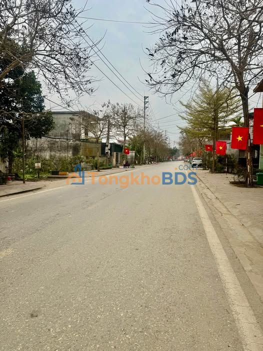 Đất Mặt Tiền Đường Viên Châu, Tuyên Quang - 525m² Kinh Doanh/Xưởng