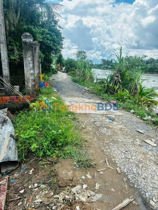 Bán Đất Nền Tân Hạnh, Vĩnh Long - 81m² Full Thổ Cư, Giá 450 Triệu