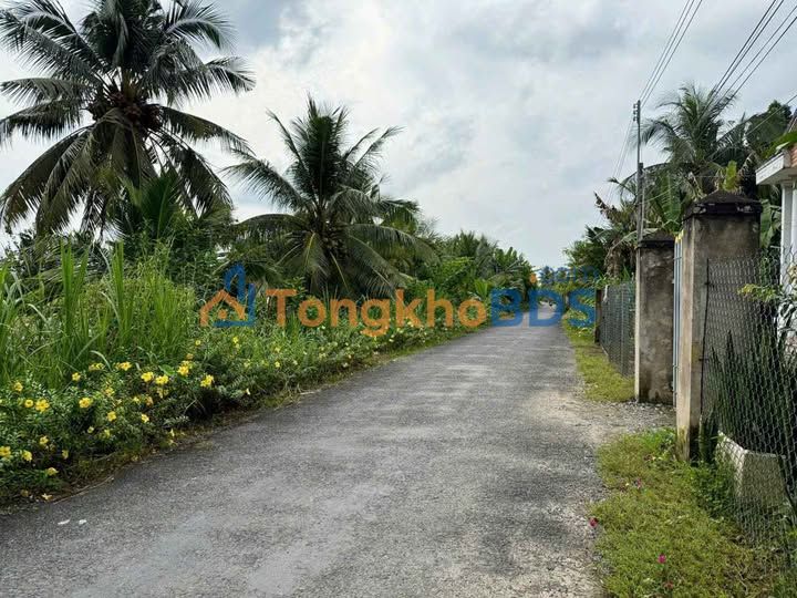 Đất Vườn Trà Cú 2601.8m² - Giá Đầu Tư 3.12 Tỷ - Sẵn Vườn Dừa Ca Cao